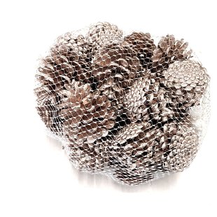 Pine cones | packaged per 500g | Champagne (x4)