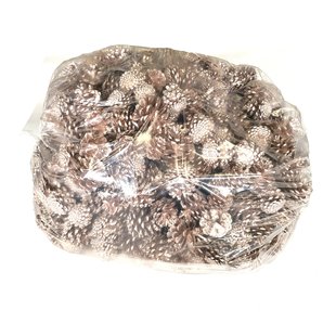 Pine cones | per 10 kg in bag | Champagne (x1)
