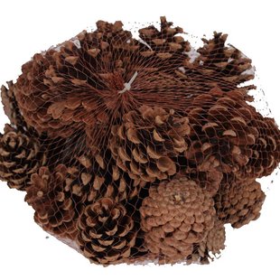 Pine cones | per 500 g packed | Natural (x4)