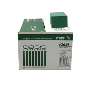 Oasis Blok Ideal x20 23*11*8cm ( x 1 )