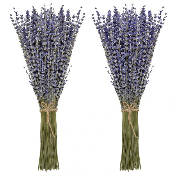 MyFlowers Twee bossen gedroogde Lavendel | 100 gram per bos | Super Deal