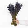 Two bunches of dried Lavender | 100 grams per bunch | Super Deal