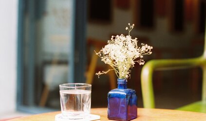 Dry Flowers: The Ideal Holiday Flowers