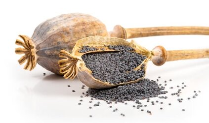 The Magic of Dried Poppy Seeds: Versatile Applications and Culinary Adventures