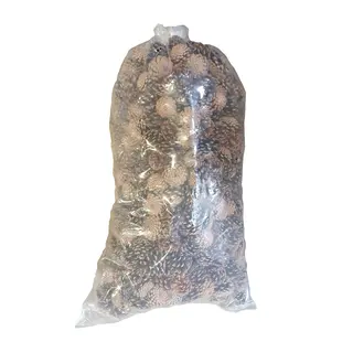 Pine cones | per 10 kg in bag | Natural (x1)