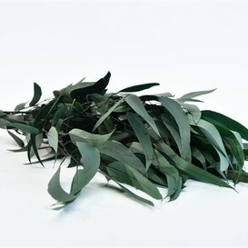 Reserved Eucalyptus Willow green
