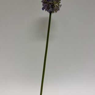 Purple Allium | silk artificial flower | 57 centimeters