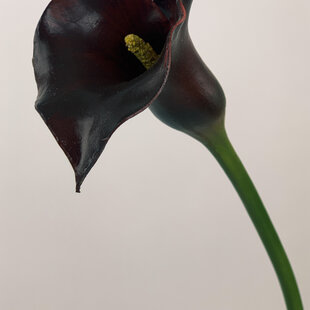 Bordeauxrode Calla | zijden kunstbloem | 75 centimeter
