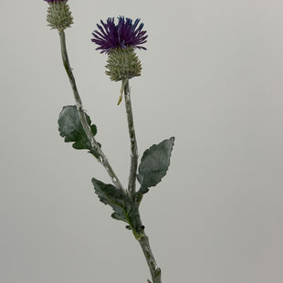 Blue Thistle | silk artificial flower | 55 centimeters