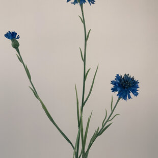 Blauwe Korenbloem | zijden kunstbloem | 62 centimeter