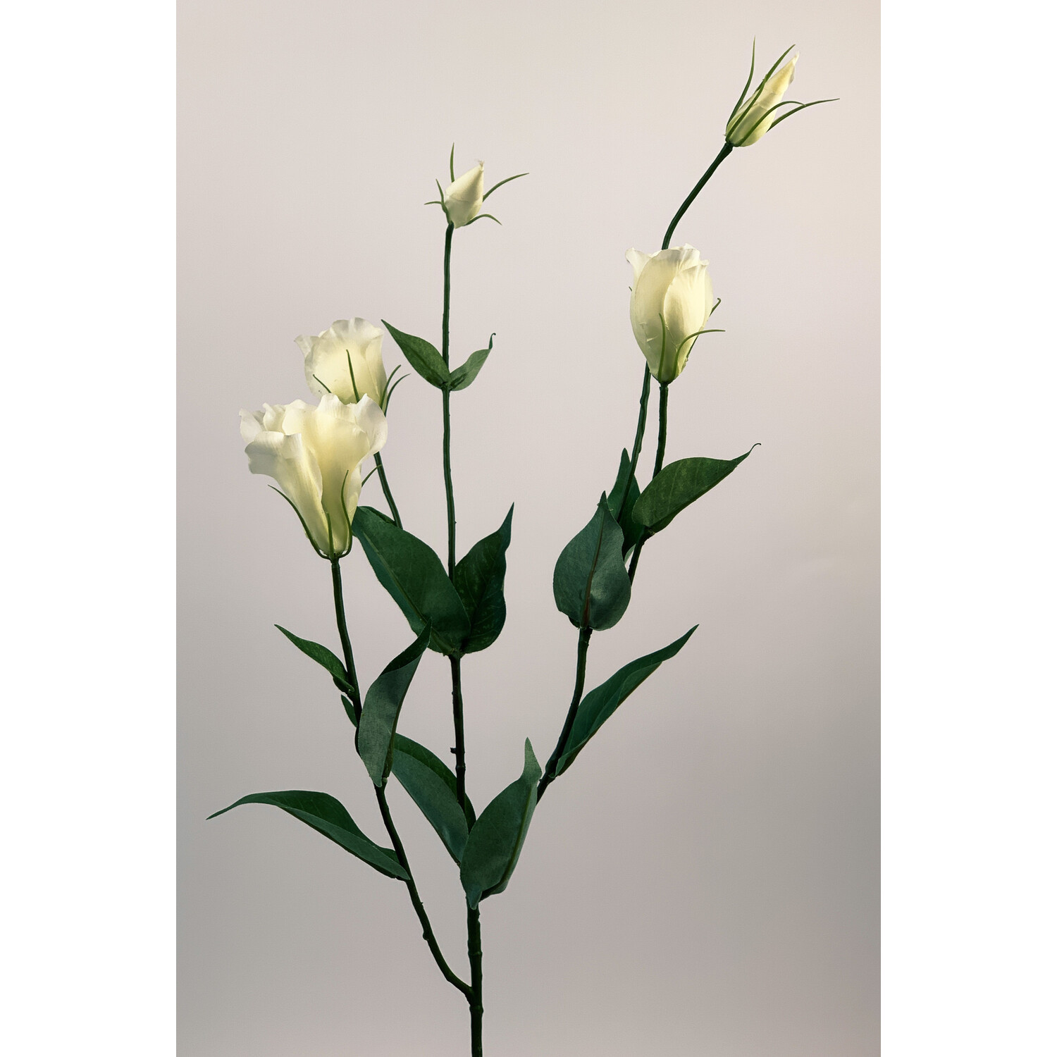 Weiße Lisianthus Kunstblume | Seide aus | Länge Online-Blumenladen MyFlowers.shop | Ihr - 75 Zentimeter