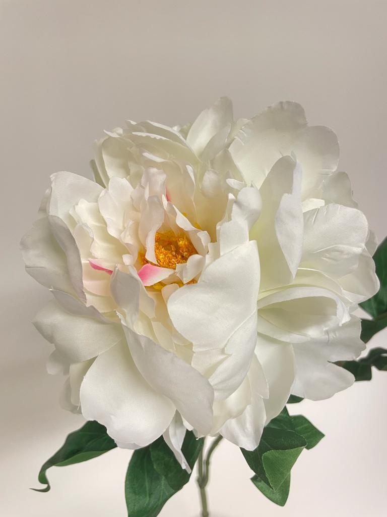 Pavot dans un pot de fleurs en soie blanche