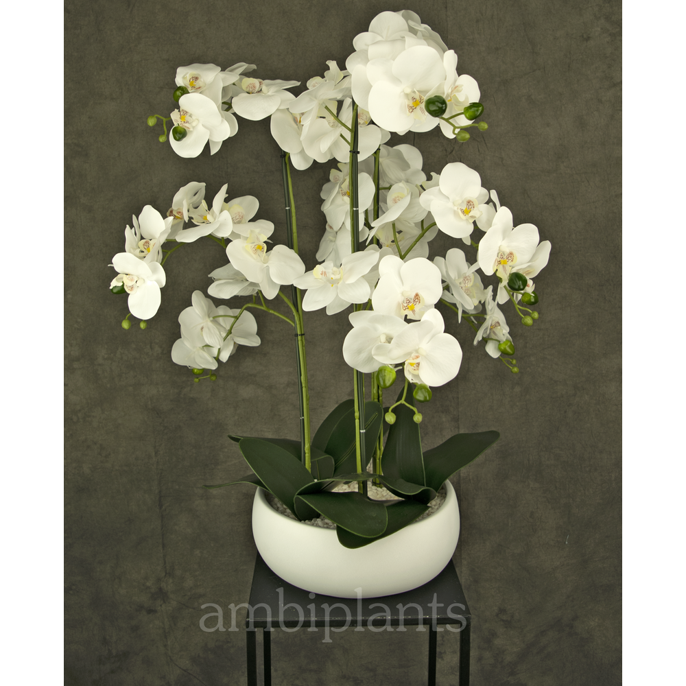 Kunstig orkidé 65 cm hvit i hvit skål - ambiplants.no