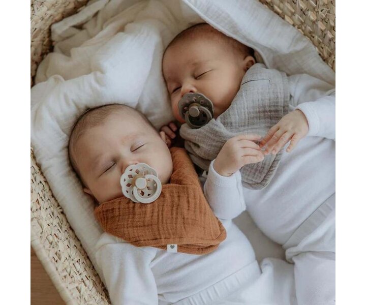 Boheme 2 Pack - Ivory/Blossom Sutter