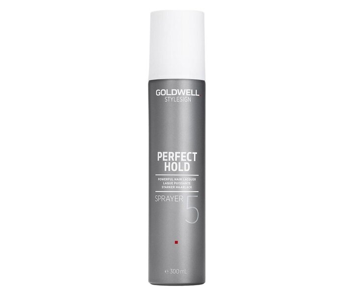 Stylesign Sprayer Haarlak Sale