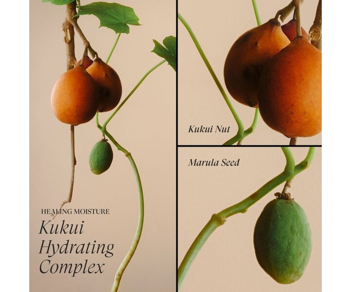 Healing Moisture Kukui Nut Conditioner