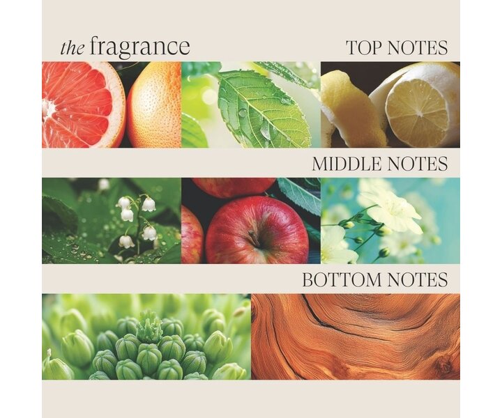 Healing Volume Root Effects - 200ml