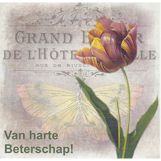 Carte de voeux 'Van harte beterschap' (7x7cm)