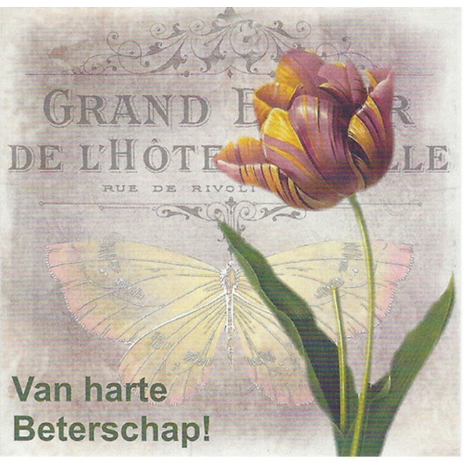 Carte de voeux 'Van harte beterschap' (1 pc) - 7x7cm