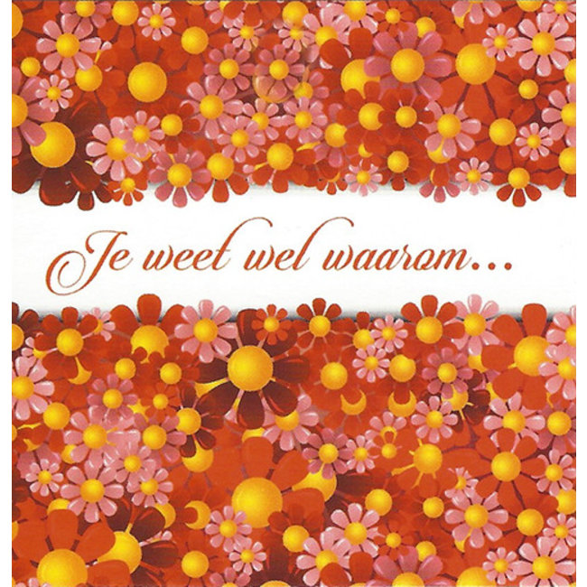 Greeting Card 'Je weet wel waarom...' (1pc) - Personal Message Card