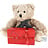 Teddyberen