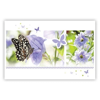Carte de voeux 'Papillons lila' (11x18cm)