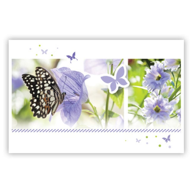 Wenskaart 'Lila Vlinders' - Elegante wenskaart met vlindermotief