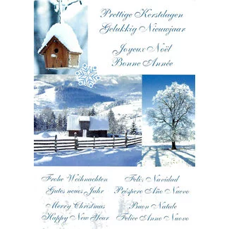 Prettige Kerstdagen - Gelukkig Nieuwjaar (10x15cm)