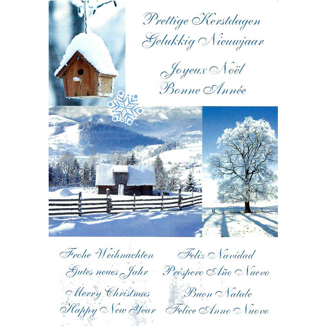 Greeting Card 'Merry Christmas - Happy New Year' (1 piece)