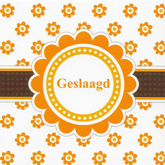 Carte de voeux 'Geslaagd' (7x7cm)