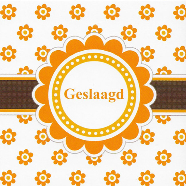 Carte de vœux 'Geslaagd' (1 pièce, 7x7cm)