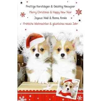 Prettige Kerstdagen - Gelukkig Nieuwjaar (11x17cm)