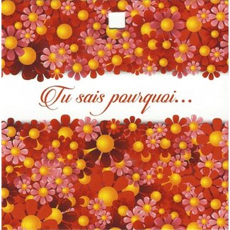 Carte de voeux 'Tu sais pourquoi...' (7x7cm)