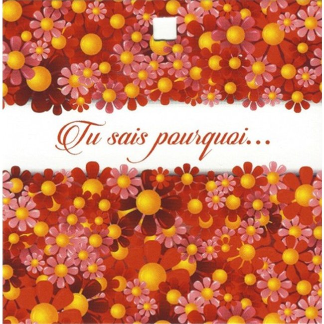 Carte de voeux 'Tu sais pourquoi...' (1 pièce)