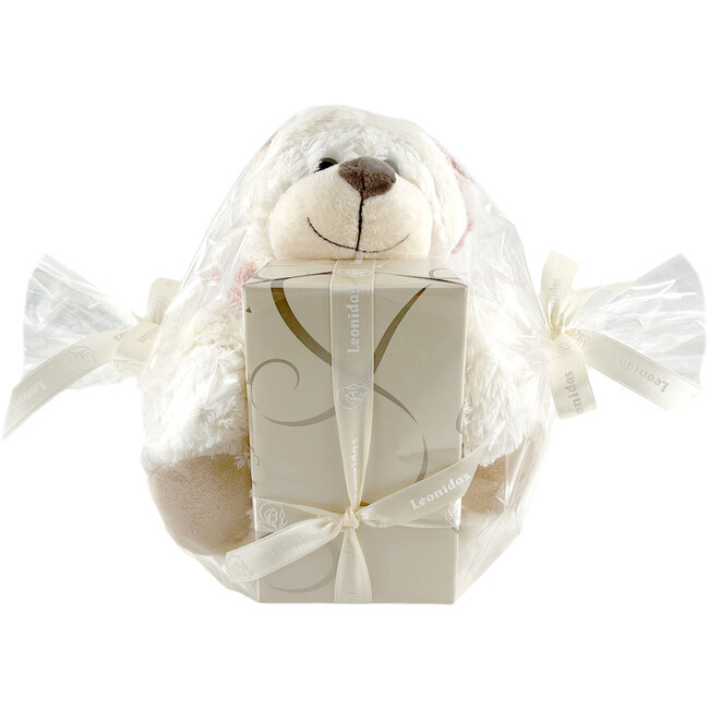 Leonidas 300g Chocolates and Teddy Bear Ruby (S)