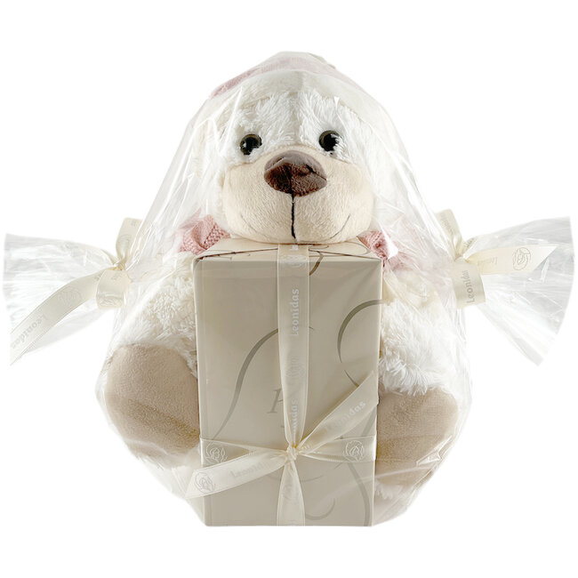 Leonidas 500g Chocolates and Teddy Bear Ruby M