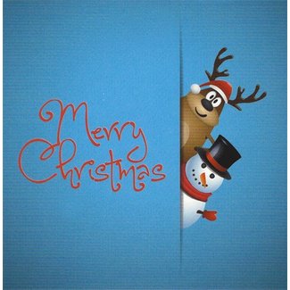 Carte de voeux 'Merry Christmas' (7x7cm)