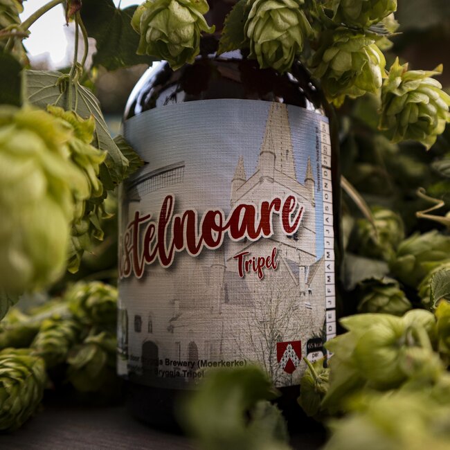 Tripel Beer 33cl - Premium Belgian Blond Beer