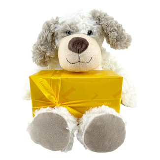 Leonidas 300g chocolates and Teddy bear Bobby (20cm)