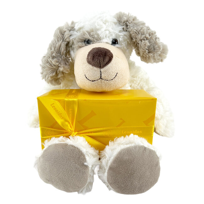 Leonidas Assortiment de 300g de chocolats et ours en peluche Bobby (20cm)