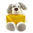 Leonidas Pralines en Teddybeer Bobby 20cm pakket 300g