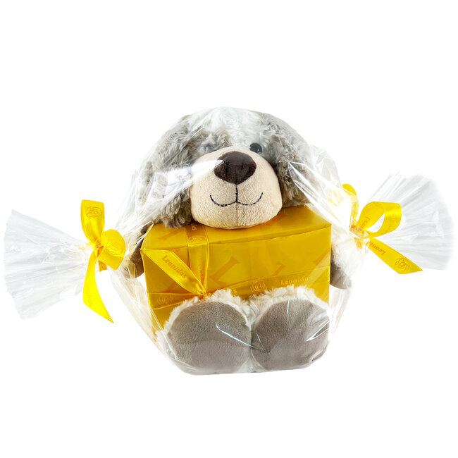 Leonidas 300g Chocolates and Teddy Bear Bobby (20cm)