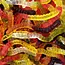 Haribo Vers Luisants 1kg PACK AVANTAGE