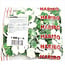 Haribo Kikkers 1kg voordeelverpakking