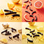 Leonidas Ronde geschenkdoos met Leonettes assortiment 700g