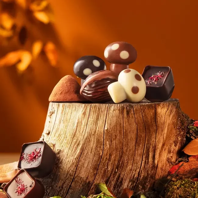 Leonidas Herfsdoos met 20 Bonbons