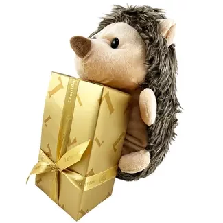 Egel (pluche) + Herfstpralines 350g