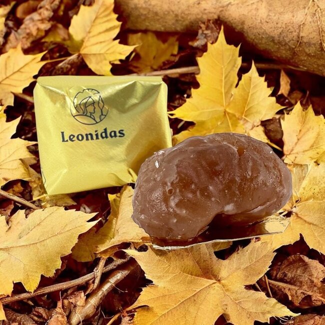 Leonidas Geglaceerde kastanjes (16 stuks) - Premium lekkernij