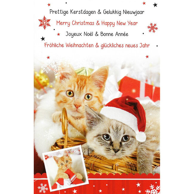 Greeting Card 'Merry Christmas - Happy New Year' (11x17cm)