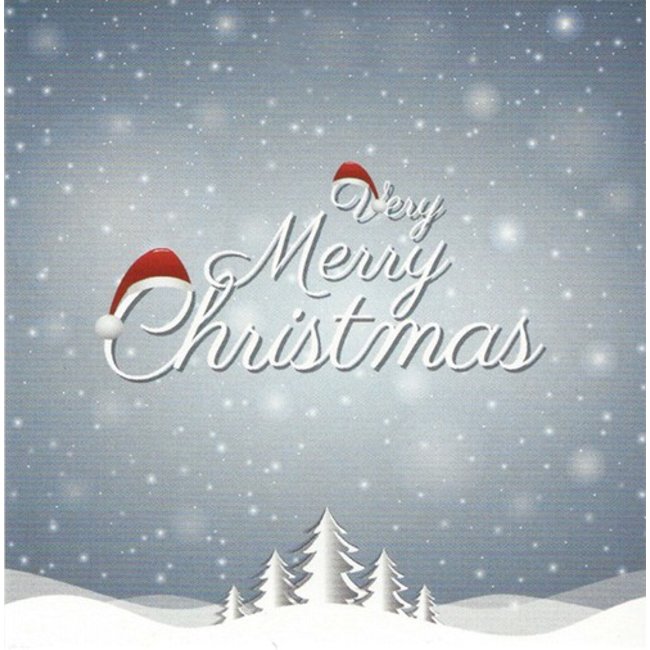 Greeting Card 'Merry Christmas' (1 piece) - Personalised Holiday Message